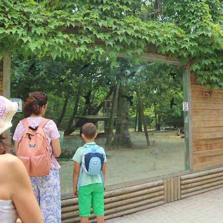 Marco Polo Daire Lignano Sabbiadoro Dış mekan fotoğraf